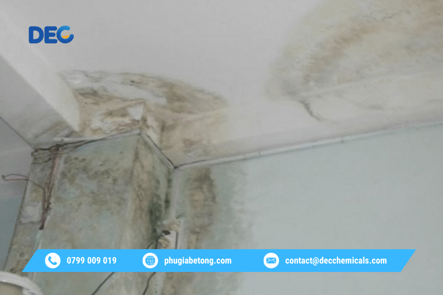 Phụ gia chống thấm: 03 sai lầm thường gặp khi xử lý thấm dột và cách tránh hiệu quả 2 Phụ gia chống thấm: 03 sai lầm thường gặp khi xử lý thấm dột và cách tránh hiệu quả